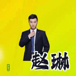 赵琳