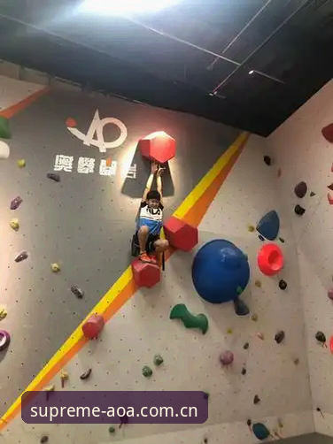 AOA体育官网使用技巧 3种创新管理策略:从马赛更衣室斗殴看职业体育的破局之道