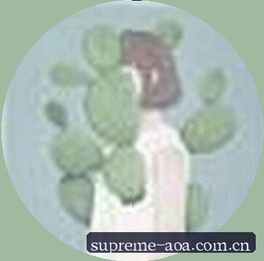 赵雪